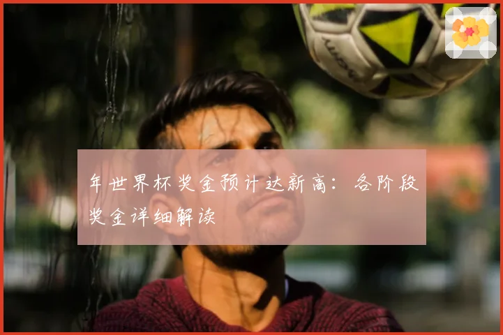 年世界杯奖金预计达新高：各阶段奖金详细解读