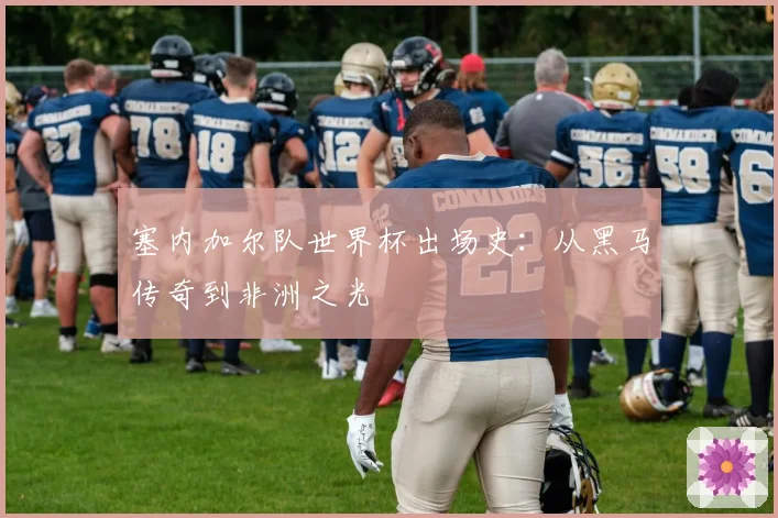 塞内加尔队世界杯出场史：从黑马传奇到非洲之光