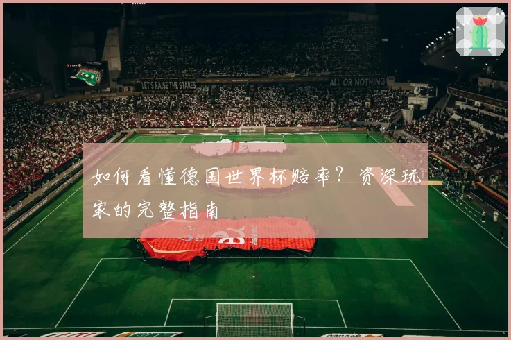 如何看懂德国世界杯赔率？资深玩家的完整指南