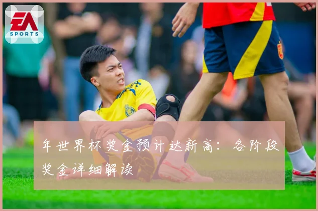 年世界杯奖金预计达新高：各阶段奖金详细解读