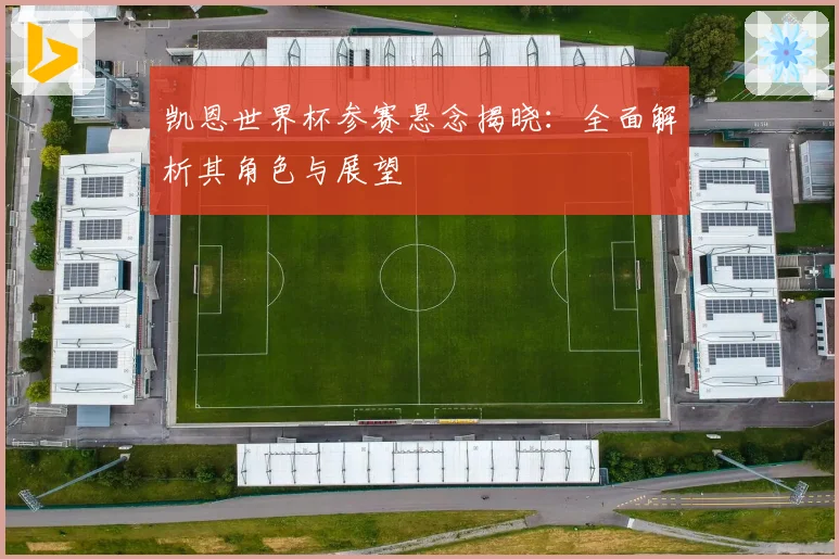 凯恩世界杯参赛悬念揭晓：全面解析其角色与展望
